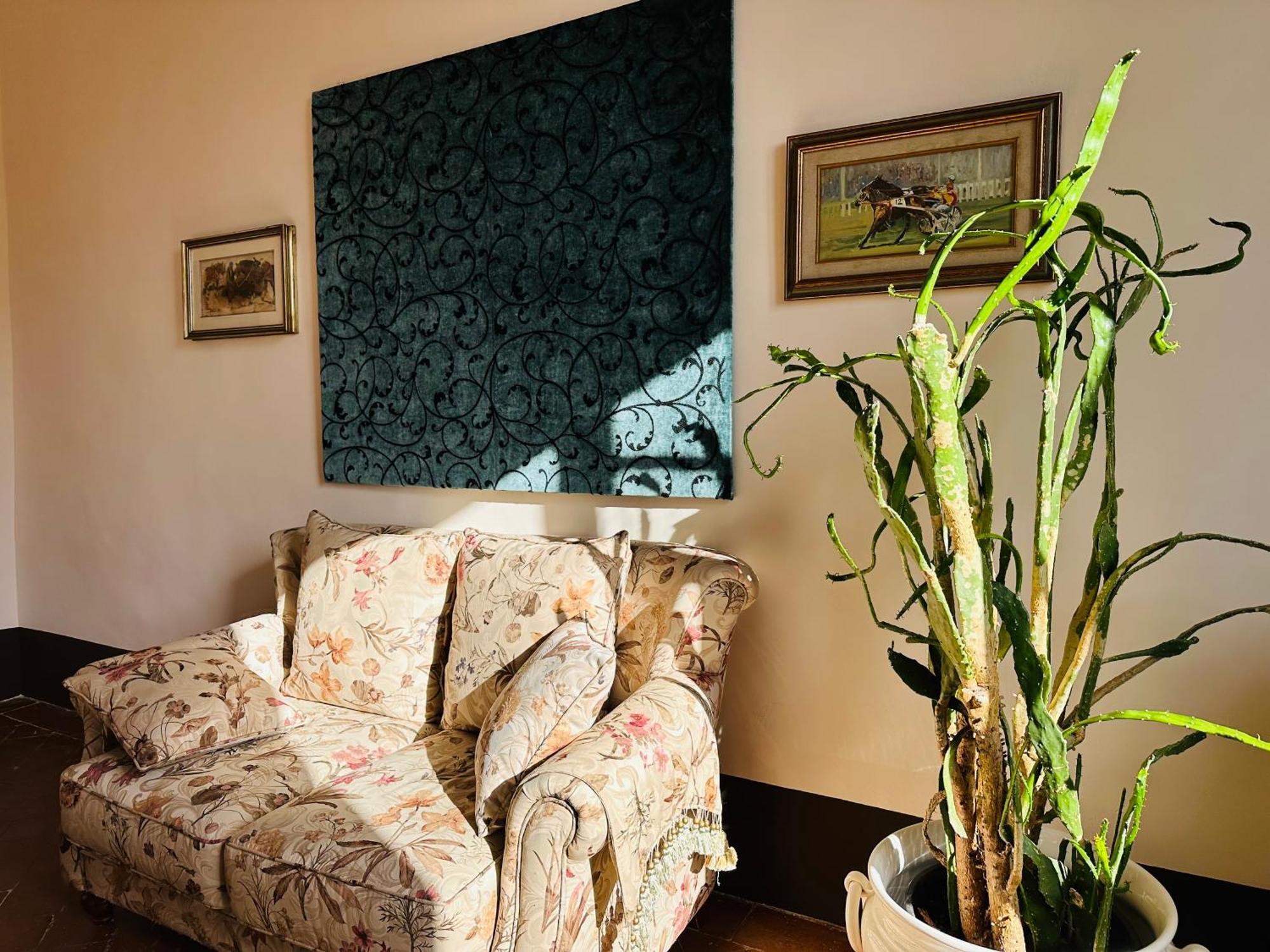 Domus An - Sant'Agata-Historical Home-Very Central Σιένα Εξωτερικό φωτογραφία